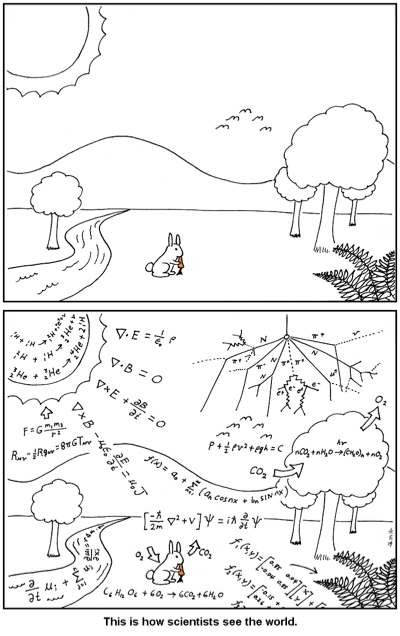 how scientists see the world